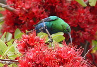 Villiersdorp Galleries